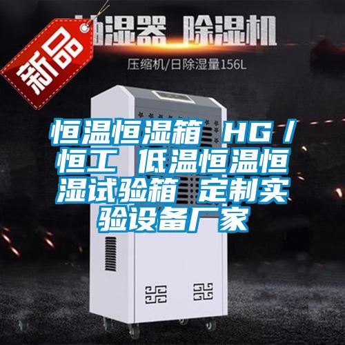 恒温恒湿箱 HG／恒工 低温恒温恒湿试验箱 定制实验设备厂家
