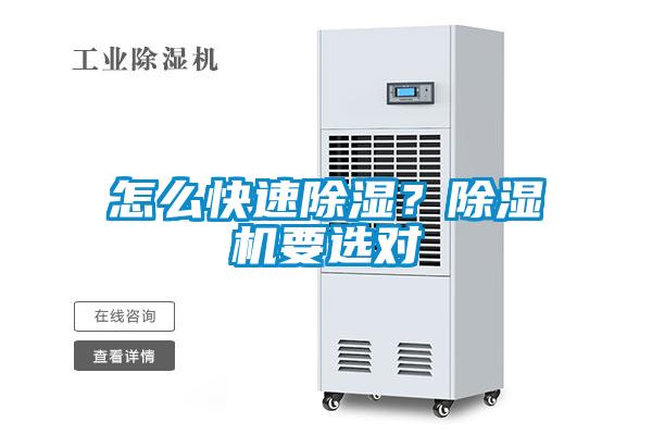 怎么快速除湿？除湿机要选对