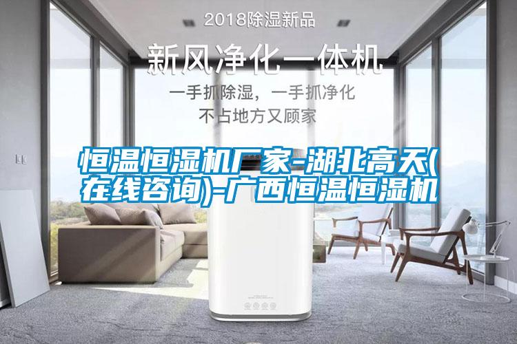 恒温恒湿机厂家-湖北高天(在线咨询)-广西恒温恒湿机