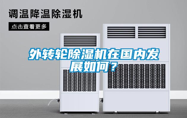 外转轮除湿机在国内发展如何？