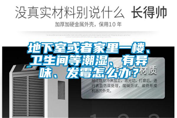地下室或者家里一楼、卫生间等潮湿、有异味、发霉怎么办？