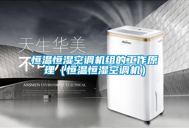 恒温恒湿空调机组的工作原理（恒温恒湿空调机）