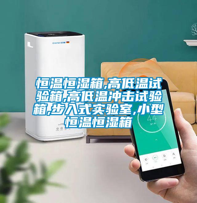 恒温恒湿箱,高低温试验箱,高低温冲击试验箱,步入式实验室,小型恒温恒湿箱