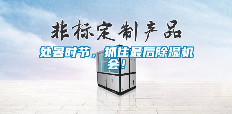 处暑时节，抓住最后除湿机会！