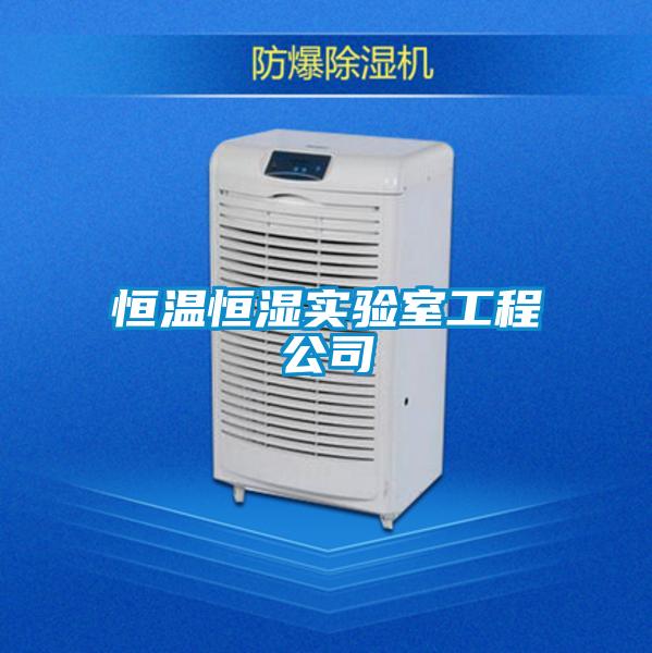 恒温恒湿实验室工程公司