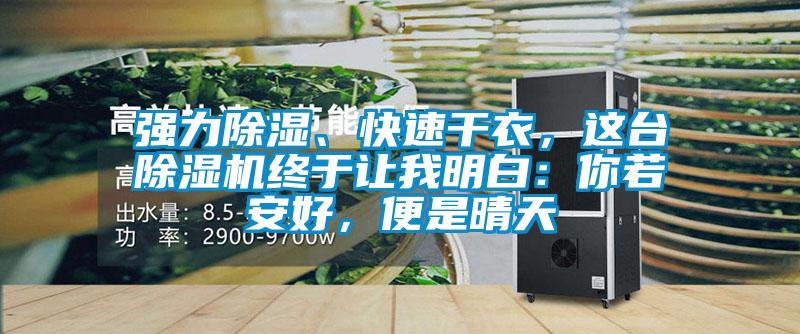 强力除湿、快速干衣，这台除湿机终于让我明白：你若安好，便是晴天