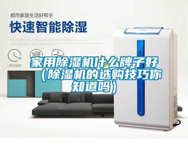 家用除湿机什么牌子好（除湿机的选购技巧你知道吗）