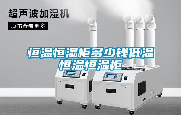 恒温恒湿柜多少钱低温恒温恒湿柜