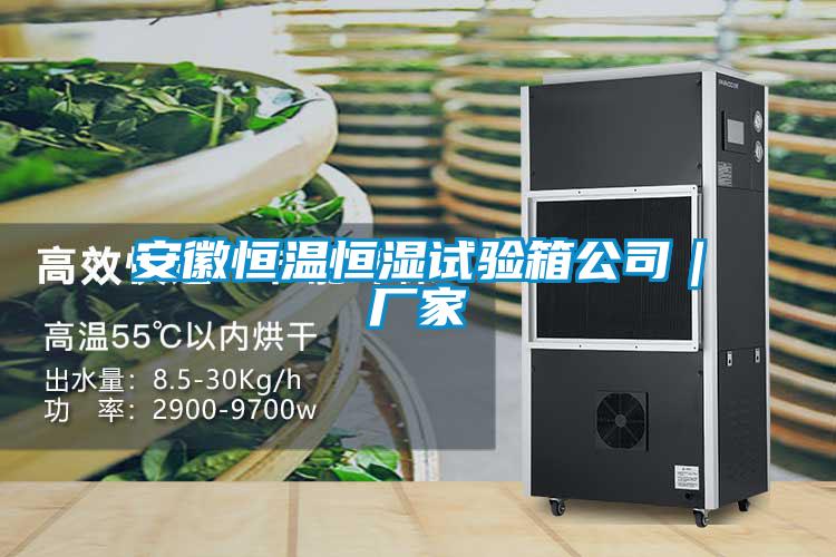 安徽恒温恒湿试验箱公司｜厂家