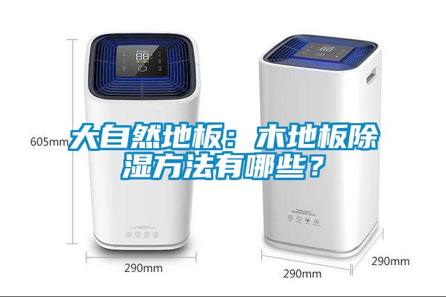 大自然地板：木地板除湿方法有哪些？