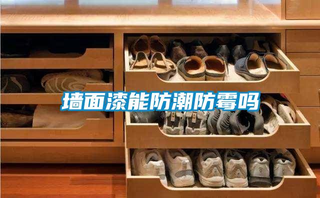 墙面漆能防潮防霉吗