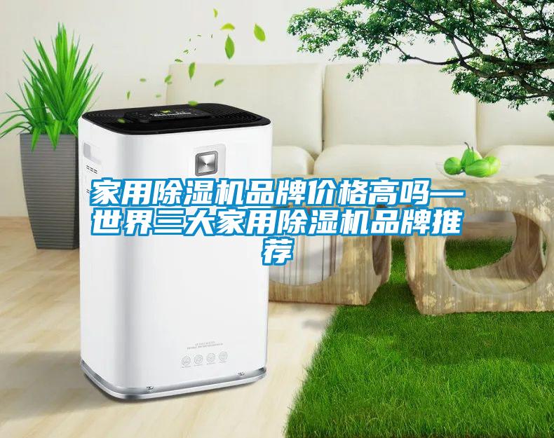 家用除湿机品牌价格高吗—世界三大家用除湿机品牌推荐