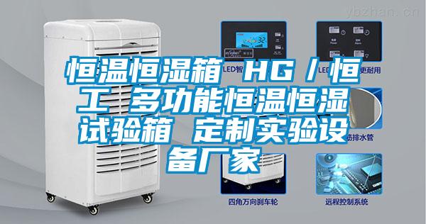 恒温恒湿箱 HG／恒工 多功能恒温恒湿试验箱 定制实验设备厂家