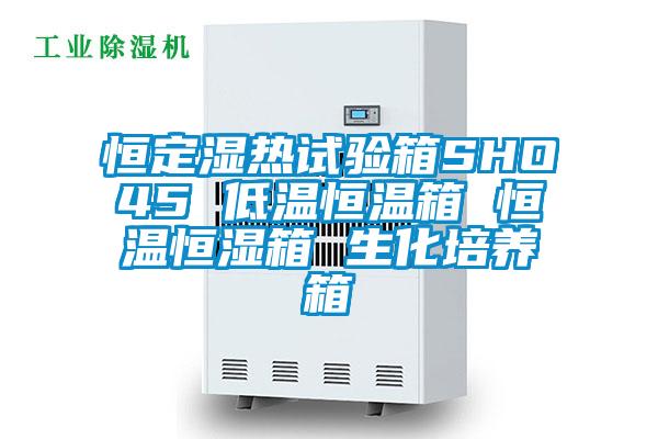 恒定湿热试验箱SHO45 低温恒温箱 恒温恒湿箱 生化培养箱