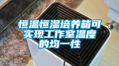 恒温恒湿培养箱可实现工作室温度的均一性