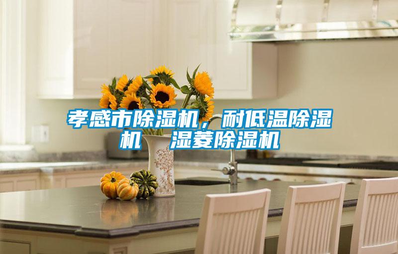 孝感市除湿机，耐低温除湿机  湿菱除湿机