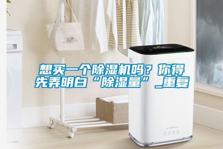 想买一个除湿机吗？你得先弄明白“除湿量”_重复