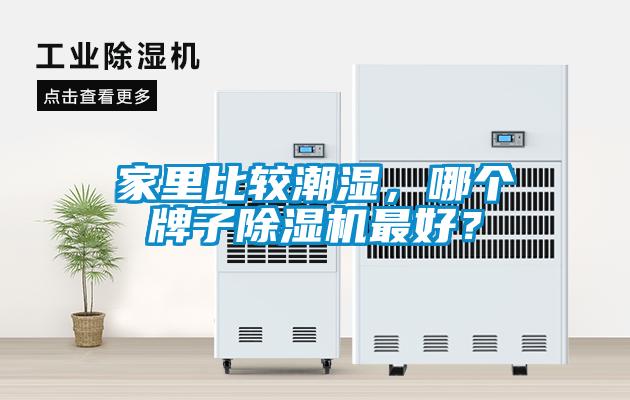 家里比较潮湿，哪个牌子除湿机最好？