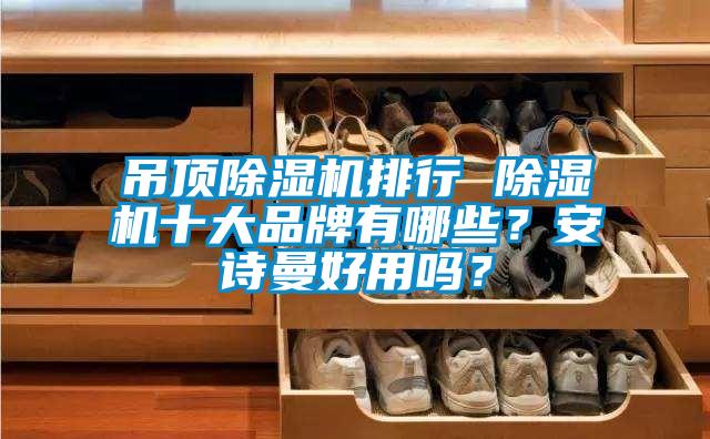 吊顶除湿机排行 除湿机十大品牌有哪些?安诗曼好用吗?