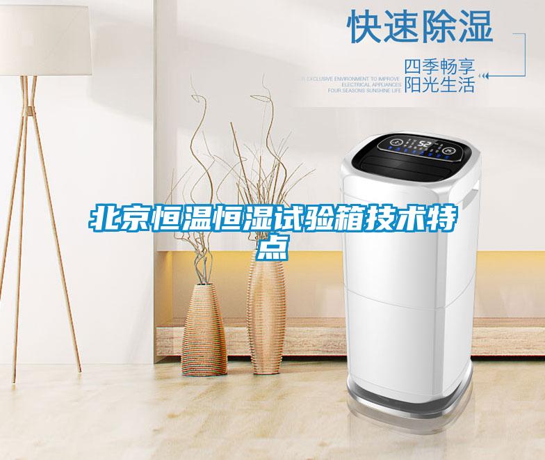 北京恒温恒湿试验箱技术特点
