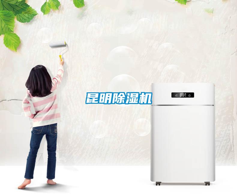 昆明除湿机