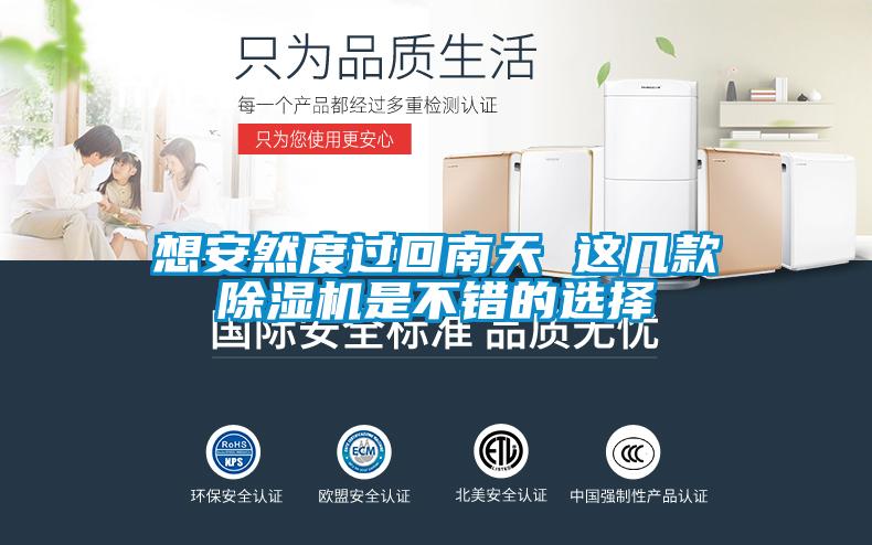 想安然度过回南天 这几款除湿机是不错的选择