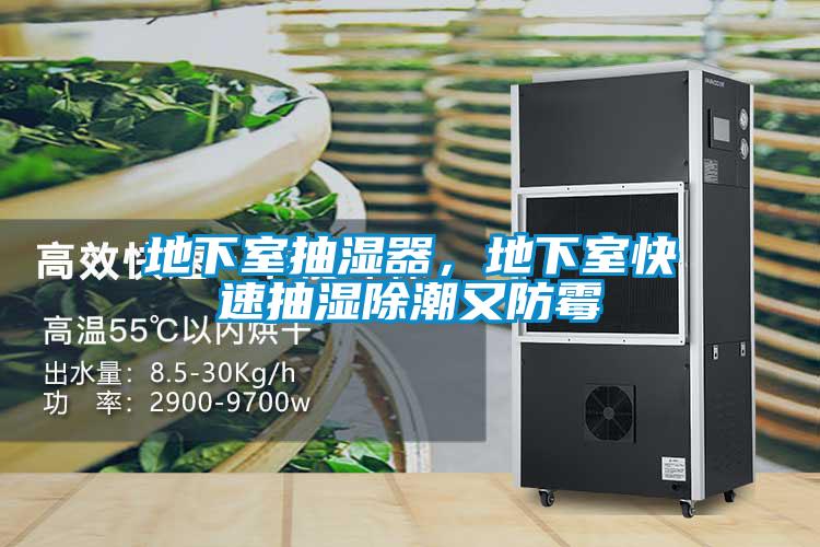 地下室抽湿器，地下室快速抽湿除潮又防霉