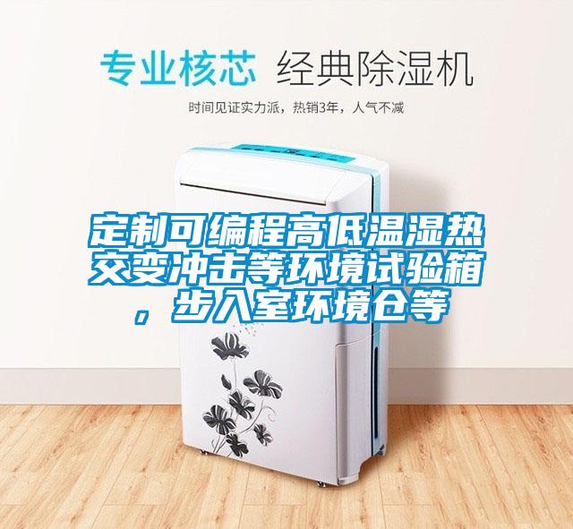 定制可编程高低温湿热交变冲击等环境试验箱，步入室环境仓等