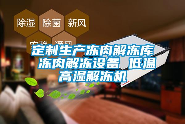 定制生产冻肉解冻库 冻肉解冻设备 低温高湿解冻机