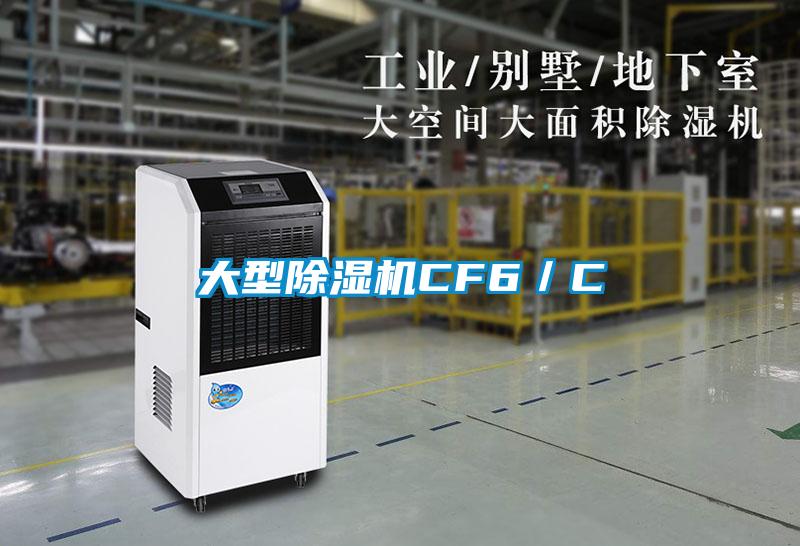 大型除湿机CF6／C