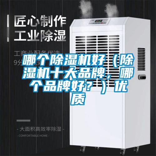哪个除湿机好（除湿机十大品牌，哪个品牌好？）优质