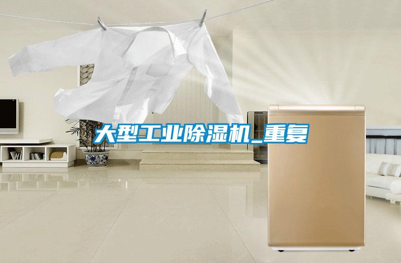 大型工业除湿机_重复