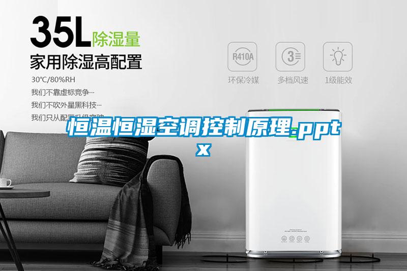 恒温恒湿空调控制原理.pptx