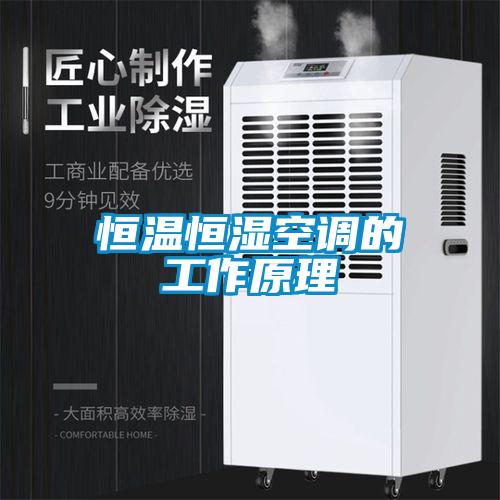 恒温恒湿空调的工作原理