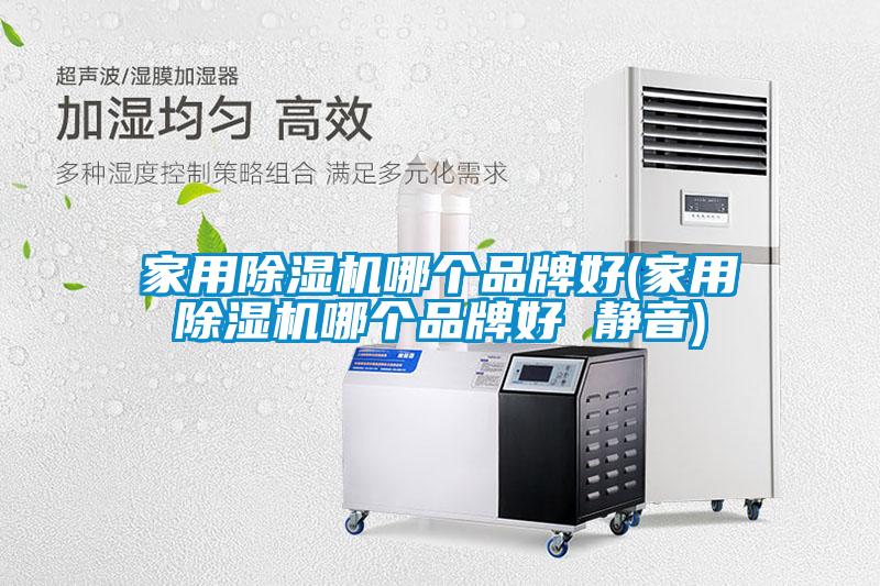 家用除湿机哪个品牌好(家用除湿机哪个品牌好 静音)