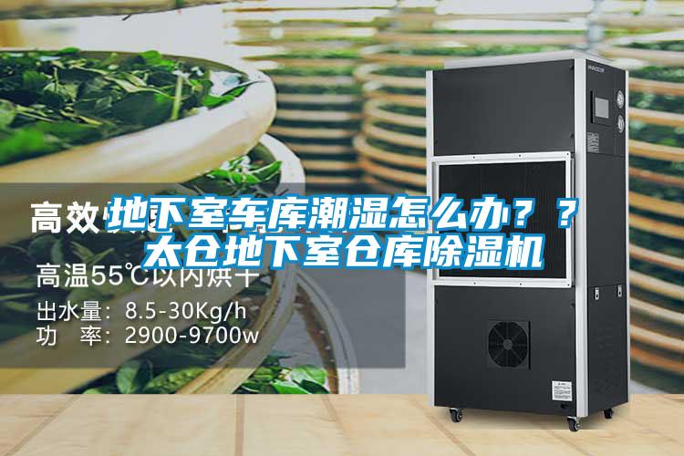 地下室车库潮湿怎么办？？太仓地下室仓库除湿机
