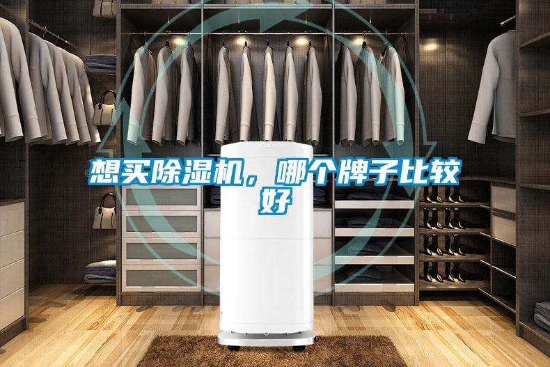 想买除湿机，哪个牌子比较好