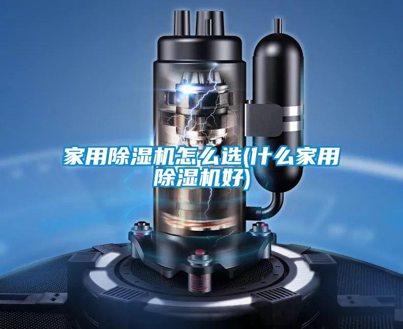 家用除湿机怎么选(什么家用除湿机好)