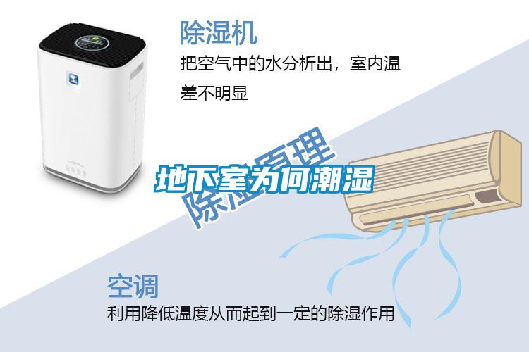 地下室为何潮湿