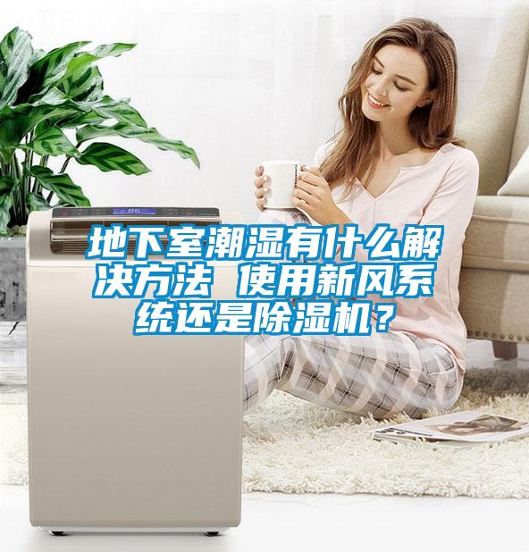 地下室潮湿有什么解决方法 使用新风系统还是除湿机？