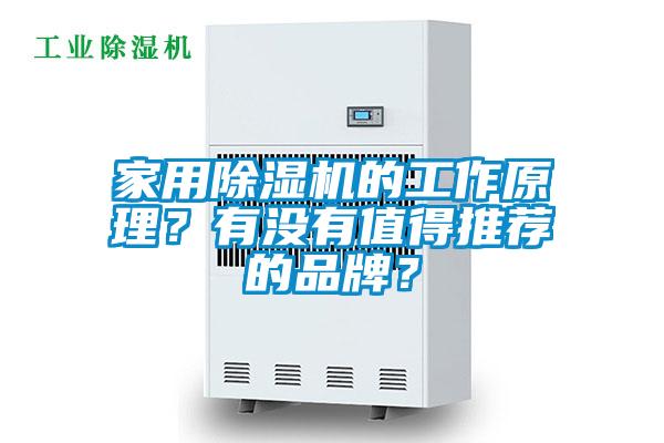 家用除湿机的工作原理？有没有值得推荐的品牌？