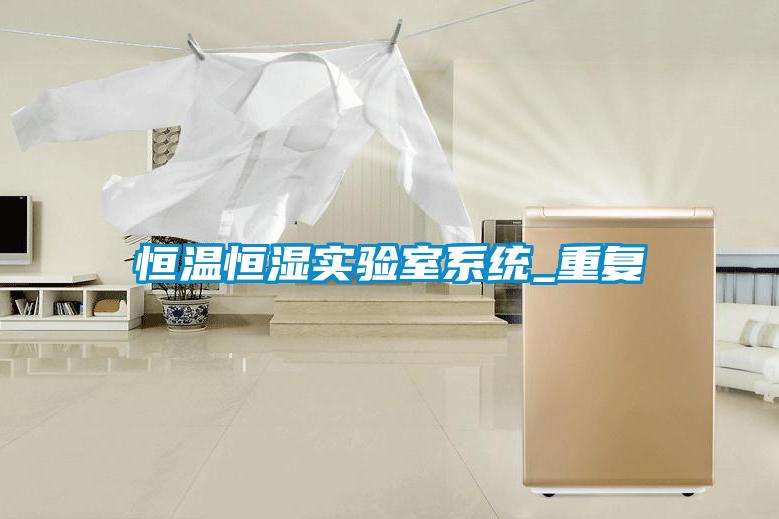 恒温恒湿实验室系统_重复