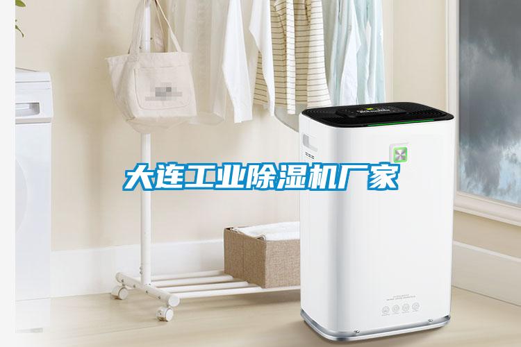大连工业除湿机厂家