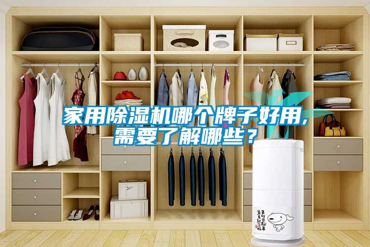 家用除湿机哪个牌子好用,需要了解哪些？