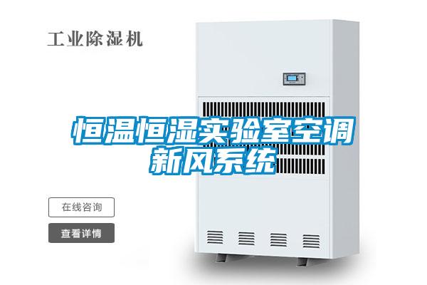 恒温恒湿实验室空调新风系统