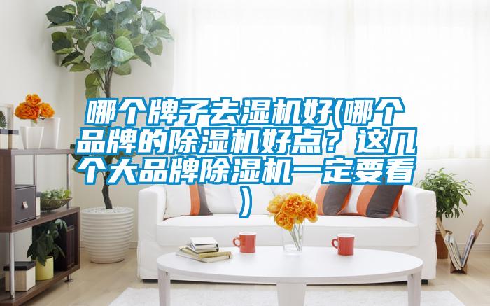 哪个牌子去湿机好(哪个品牌的除湿机好点?这几个大品牌除湿机一定要看)