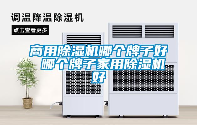 商用除湿机哪个牌子好 哪个牌子家用除湿机好