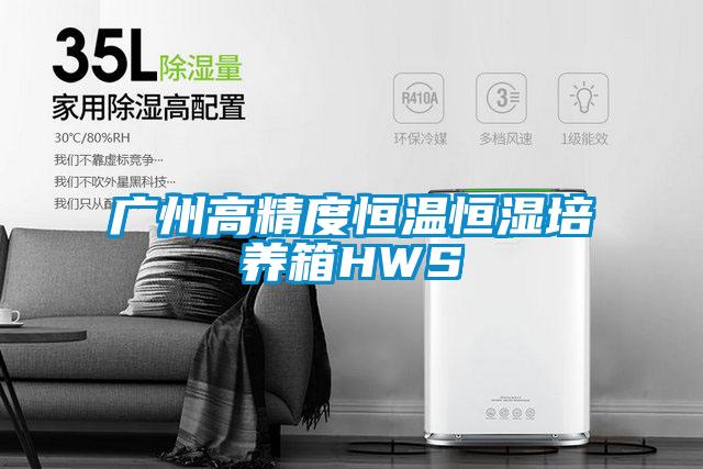 广州高精度恒温恒湿培养箱HWS