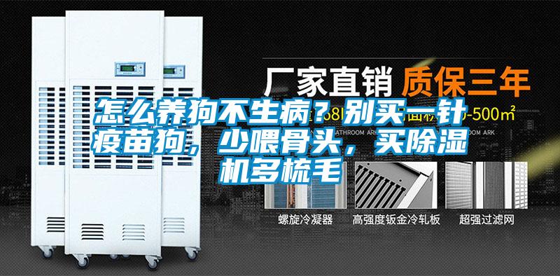 怎么养狗不生病？别买一针疫苗狗，少喂骨头，买除湿机多梳毛