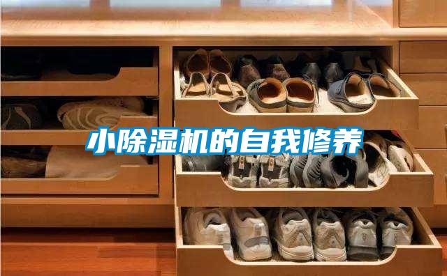 小除湿机的自我修养
